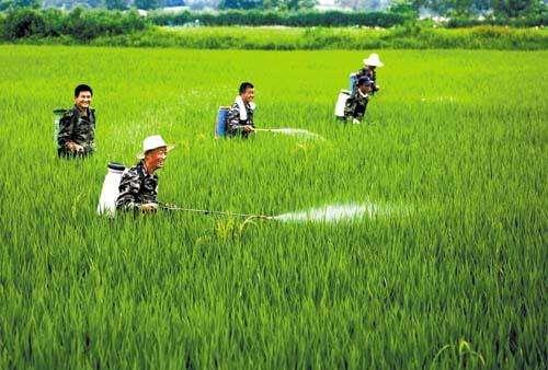 农资市场鱼龙混杂，抗性真的有宣传的那么严重吗？